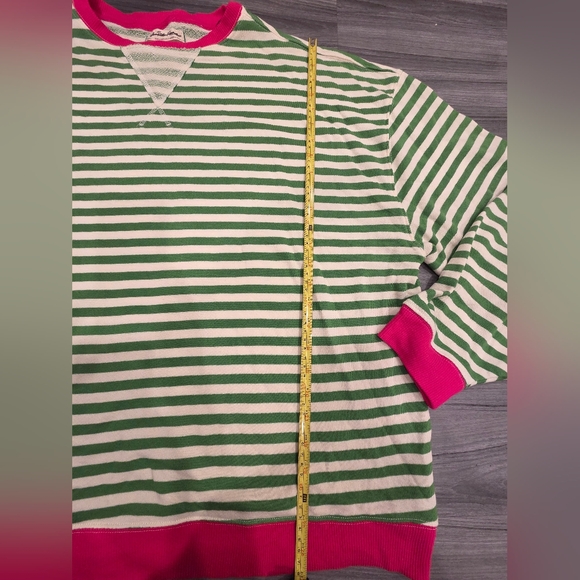 Free People We the Free Classic Striped Crewneck Sweatshirt Oversized Green Pink - Picture 6 of 9